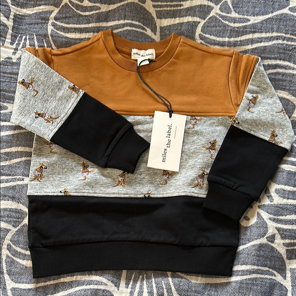 Miles the Label Kids' Colorblock Sweatshirt NWT 3T
